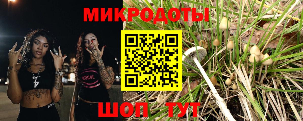 Псилоцибиновые грибы Cubensis  Галлюциногенные грибы MAGIC MUSHROOMS  Вход с VPN  Карачаевск 